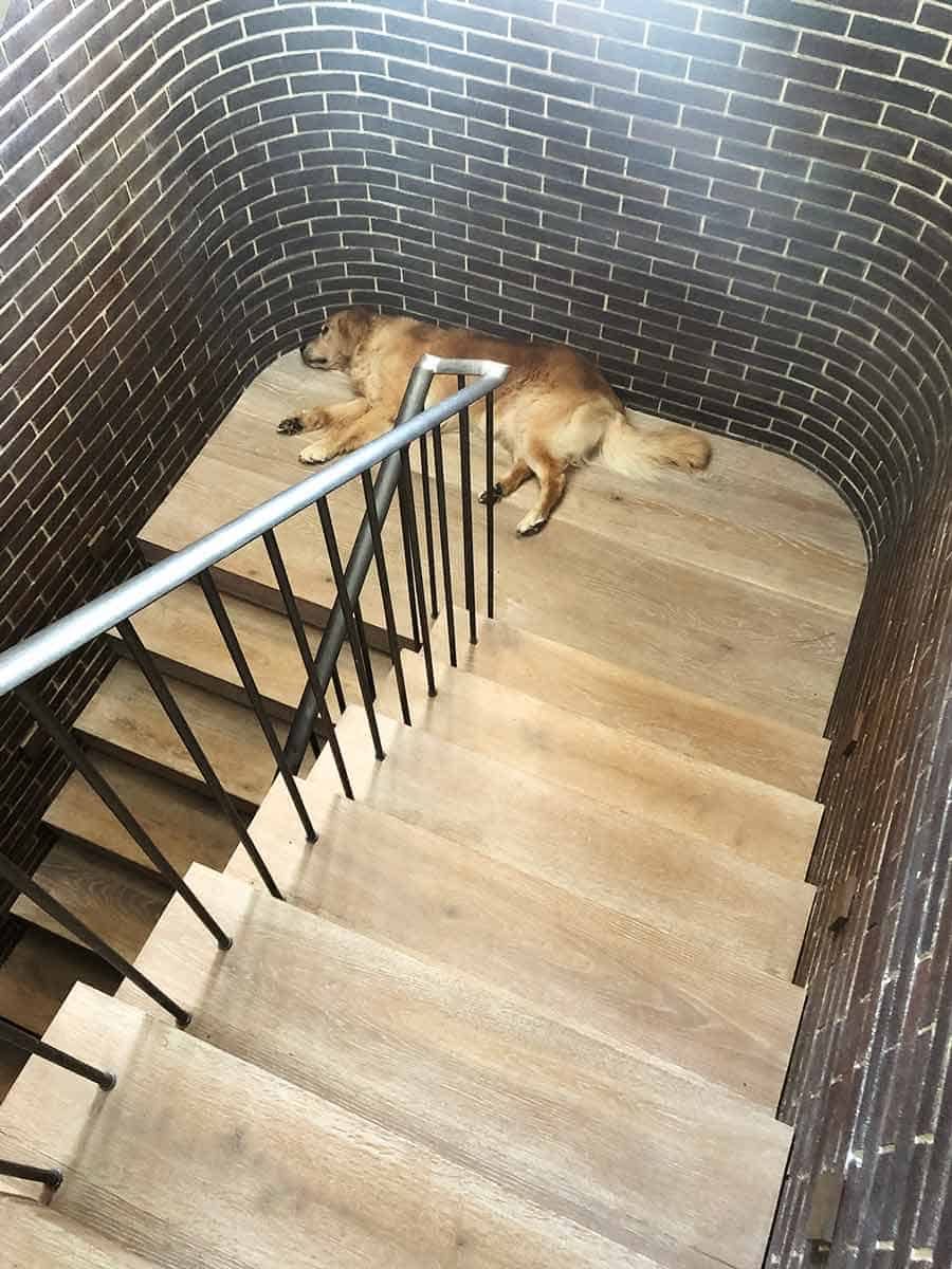 Dozer on stairs landing