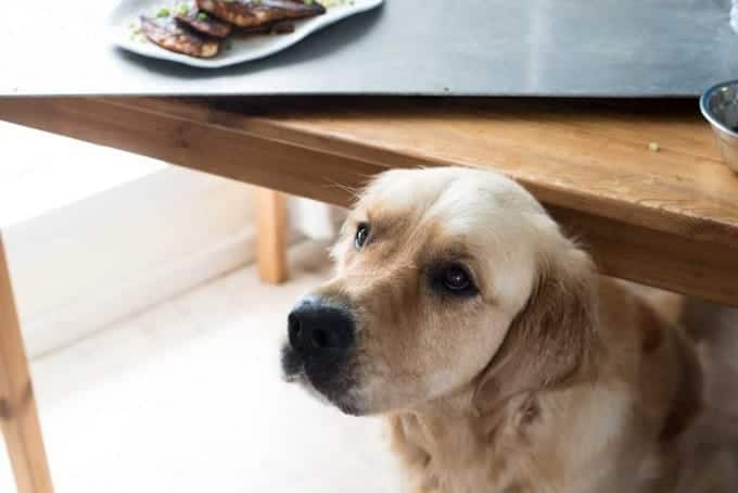 Cajun Blackened Fish - An incredible flavour explosion, so easy to make!