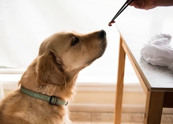 Dozer Stuffed Chicken Breast_1