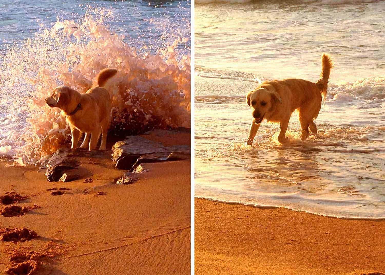 Dozer being dumped by a wave