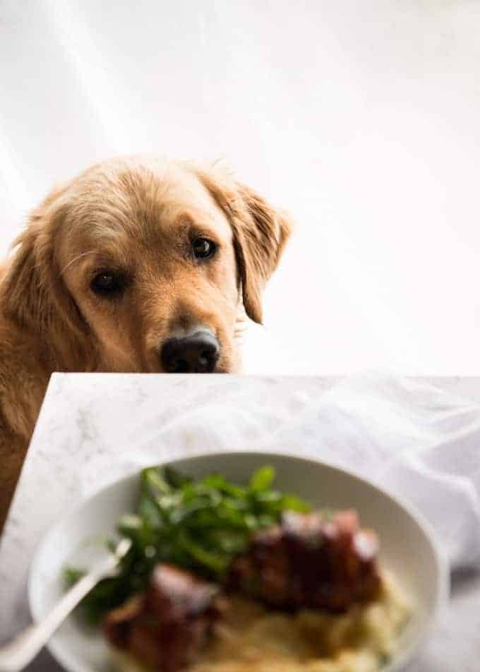 Dozer Bacon Wrapped Chicken