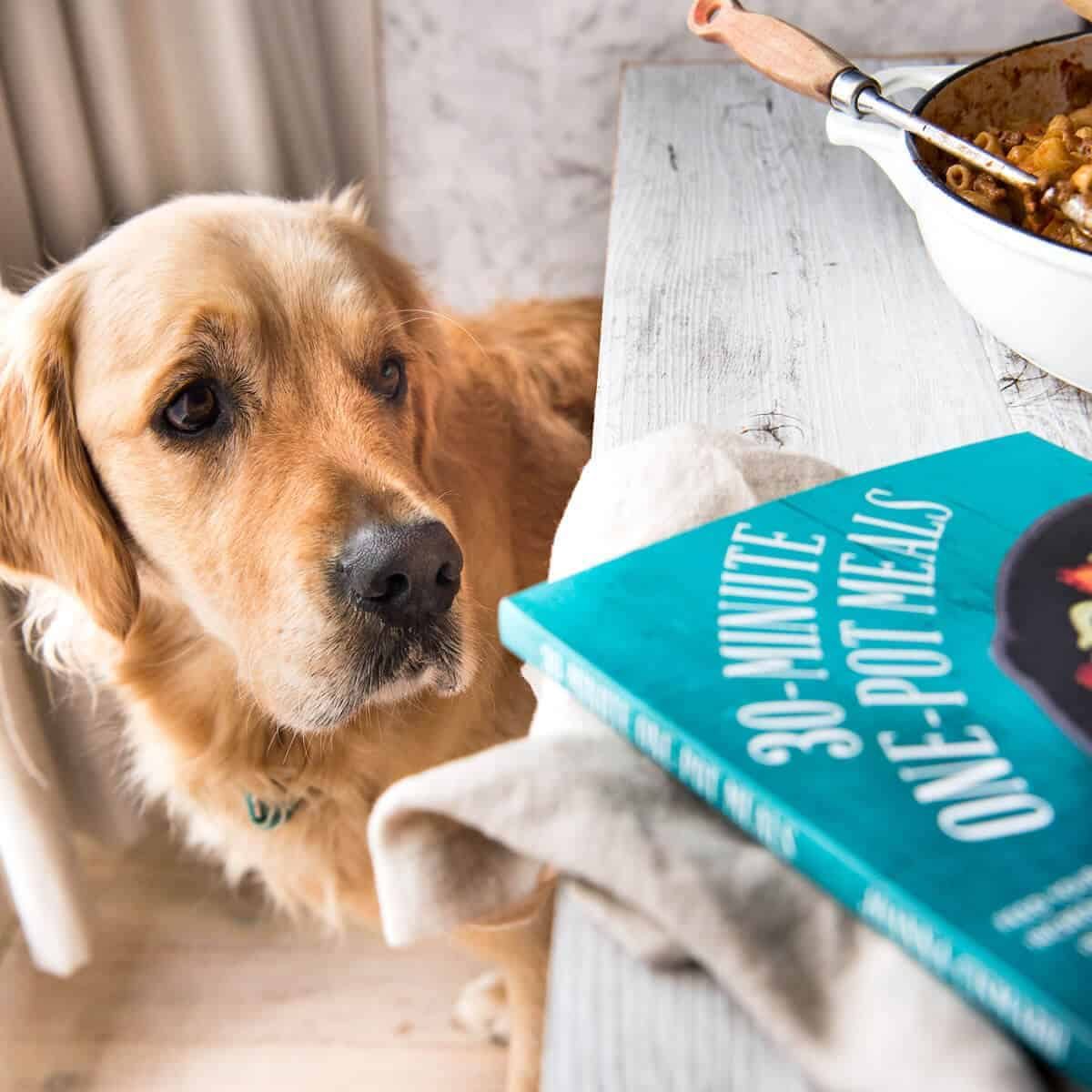 Dozer Jo Cooks cookbook