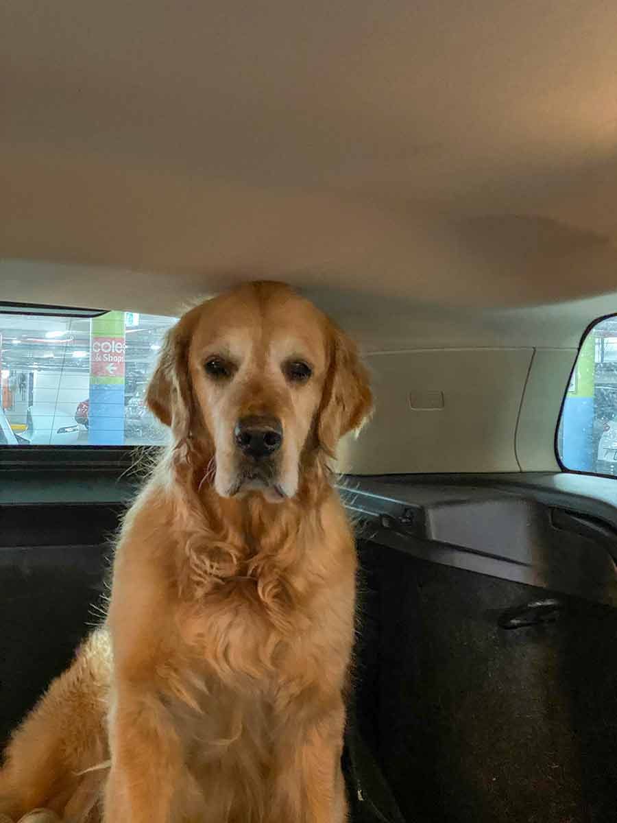 Dozer head touching roof of car