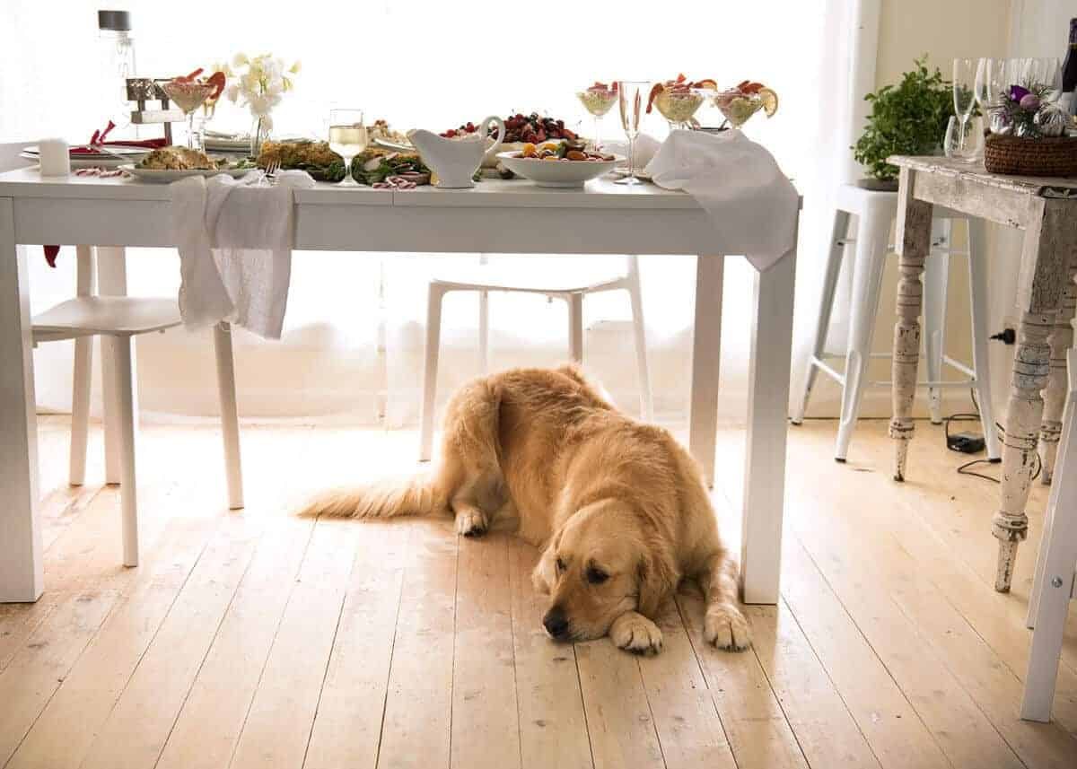 dozer-christmas-menu-2016