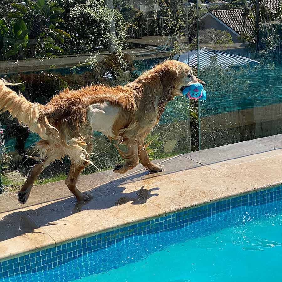 Shared belly Dozer less water spray