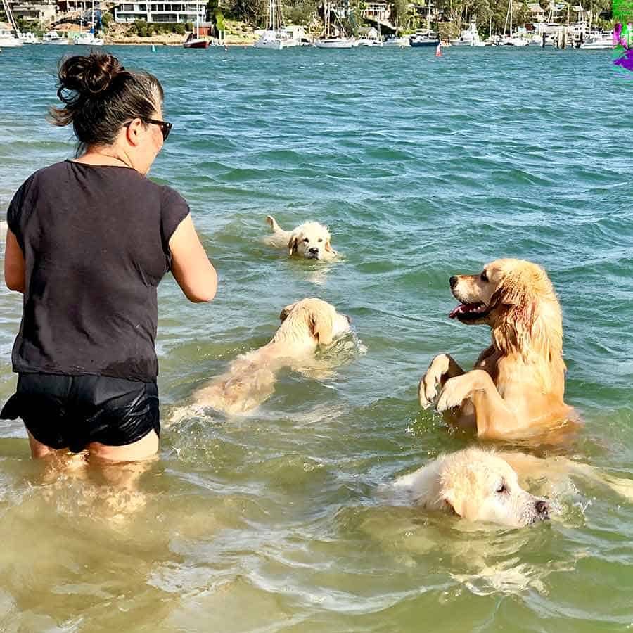 Dozer at Bayview with friends and Nagi