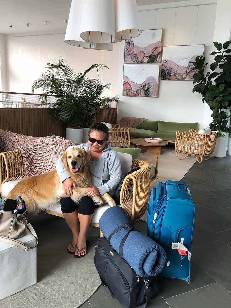 Dozer golden retriever dog Bannisters Port Stephens - dog friendly hotel