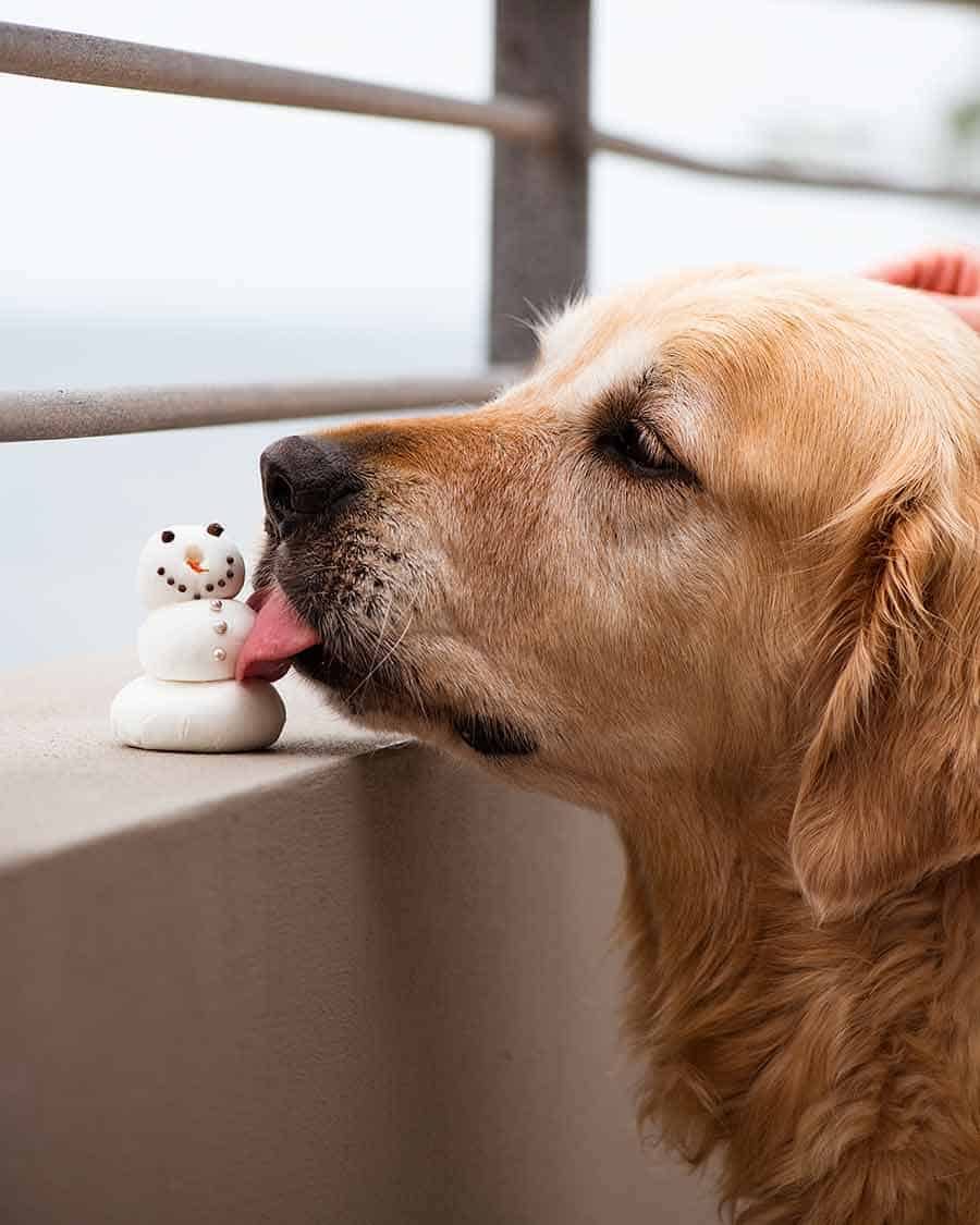 Dozer snowman fondant