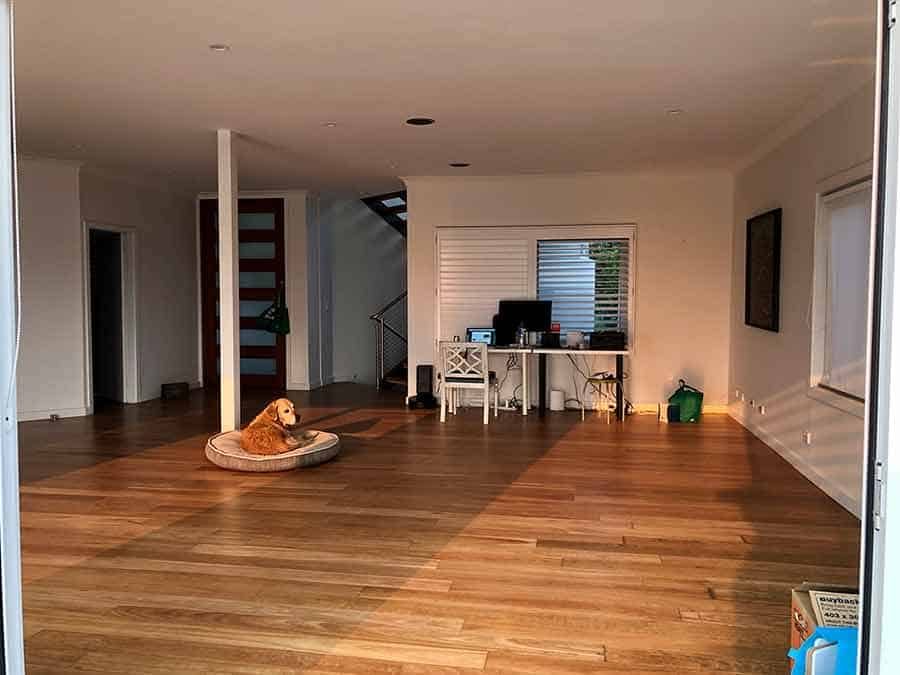 Dozer the golden retriever new home