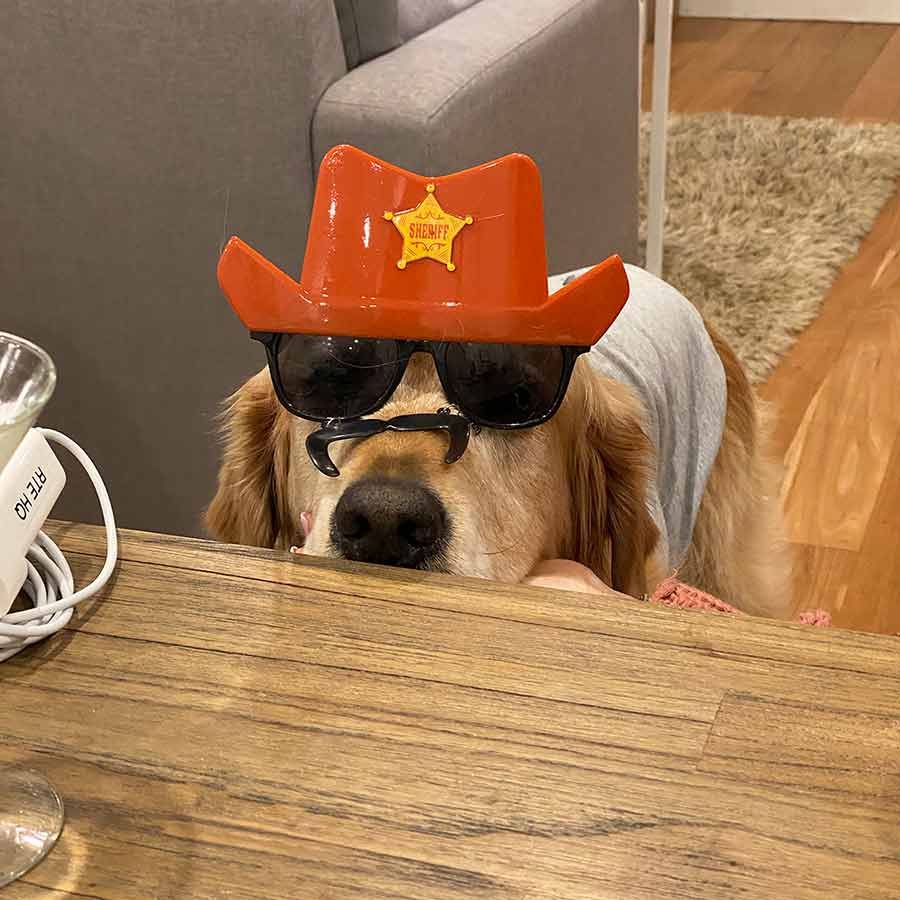 Dozer-sheriff-hat-and-glasses