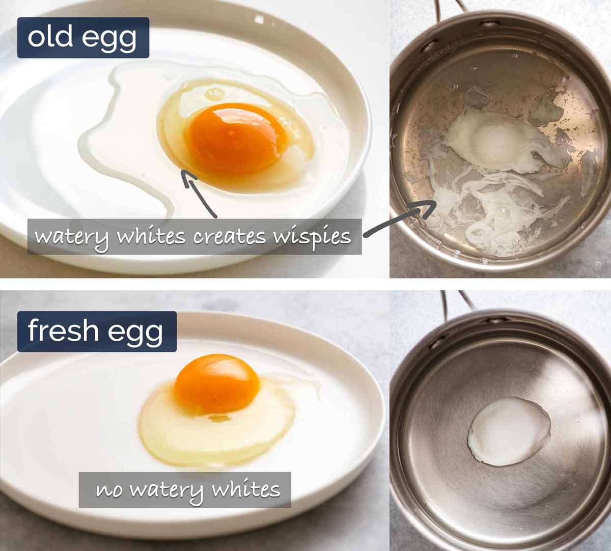 Why fresh eggs are better for poached eggs