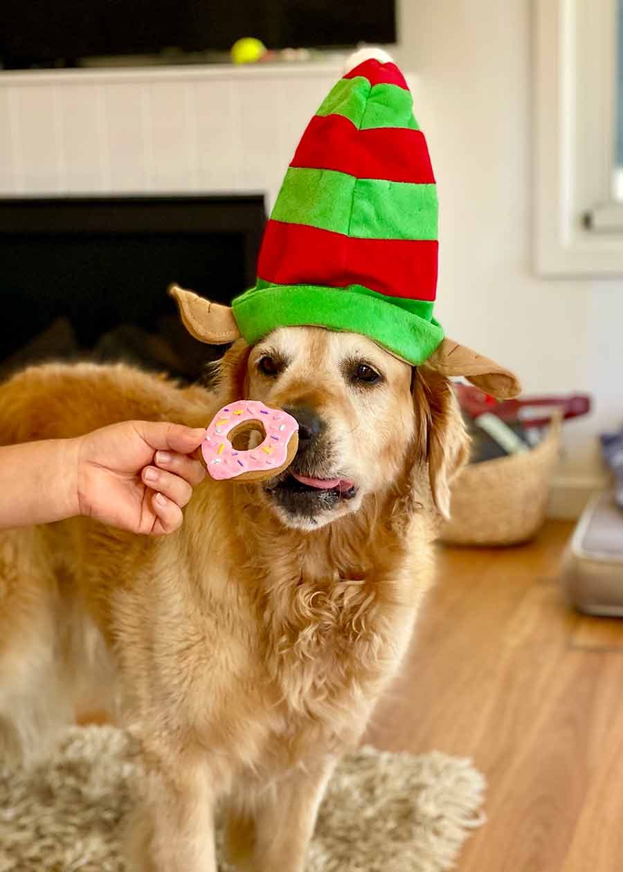 Dozer gingerbread men doughnuts