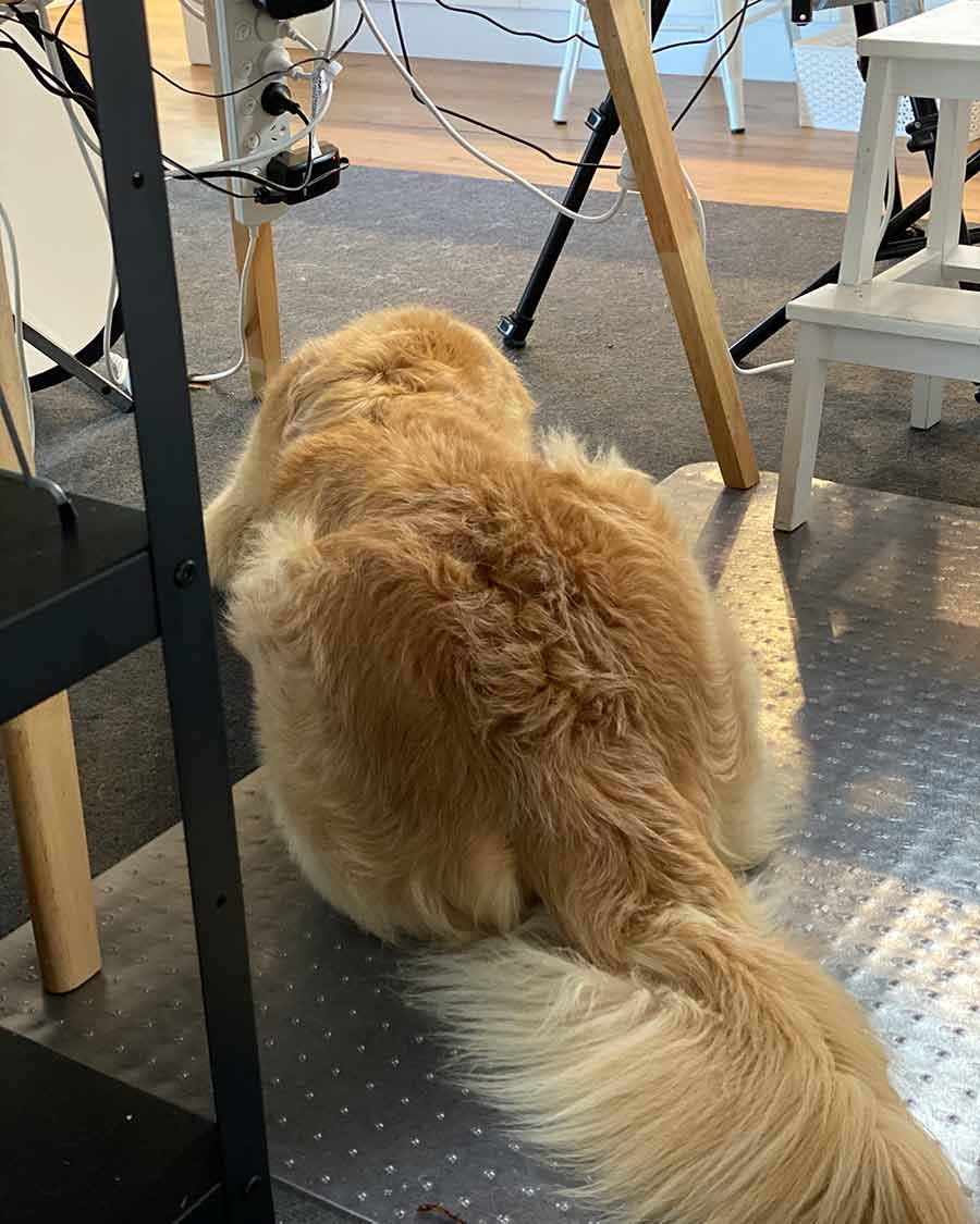 Dozer under shoot table