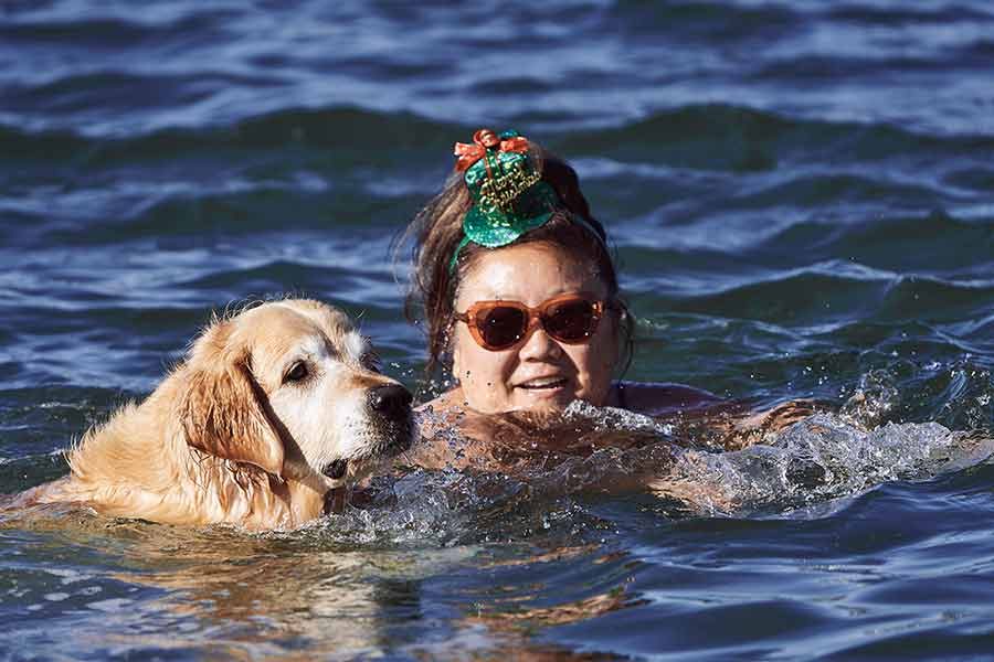 Dozer and Nagi Bayview Christmas 2020