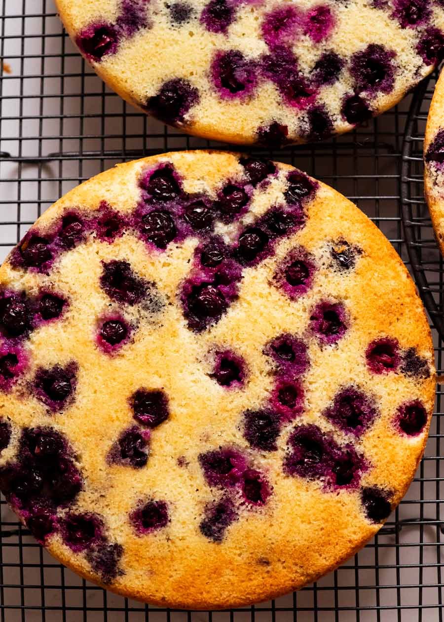 Overhead photo of freshly baked blueberry layer cakes