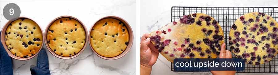 How to make Blueberry Cake with Lemon Cream Cheese Frosting