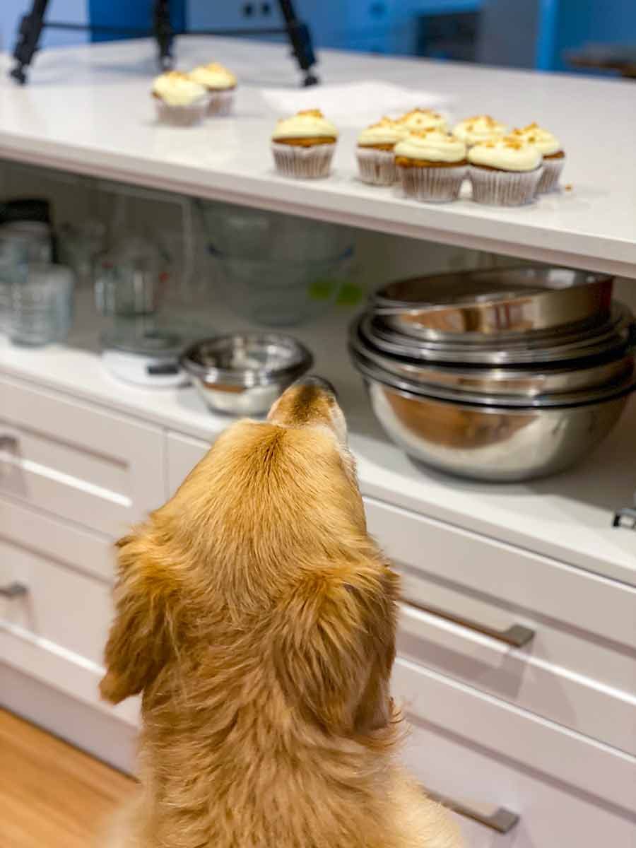 Dozer carrot cake cupcakes