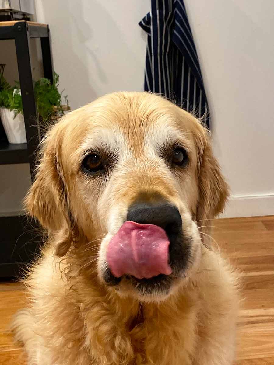 Dozer food catching chest hair