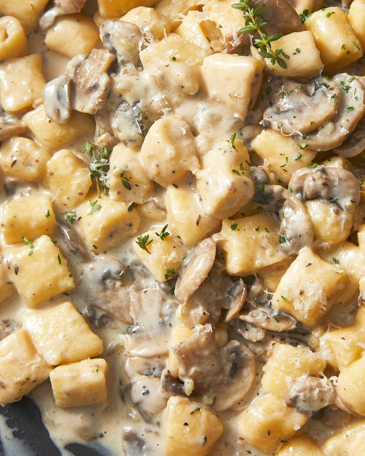 Close up of Ricotta gnocchi with creamy mushroom sauce